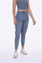 Load image into Gallery viewer, Silky Grey Joggers